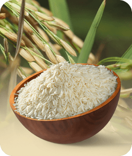 Basmathi Rice
