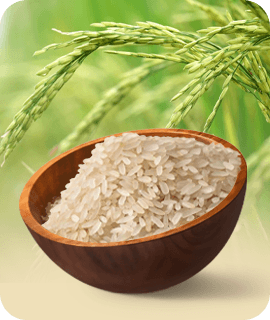 Ponni Rice