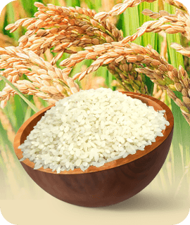 Jeera Samba Rice