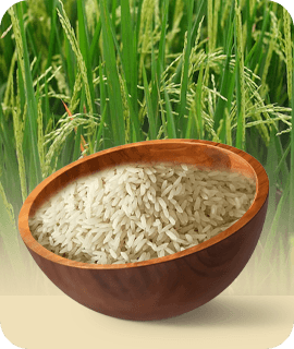 Steam Rice